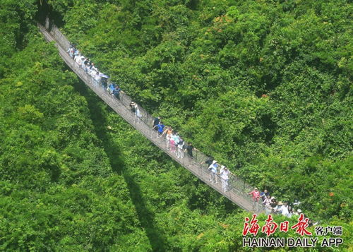 國慶假期海南旅文行業強勢復蘇，多元產品供給激活國內旅游市場